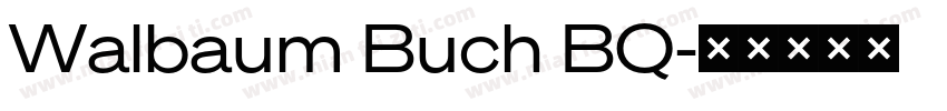 Walbaum Buch BQ字体转换